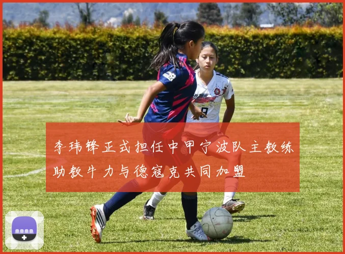 李玮锋正式担任中甲宁波队主教练助教牛力与德寇克共同加盟