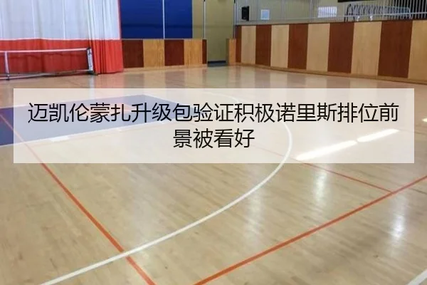 迈凯伦蒙扎升级包验证积极诺里斯排位前景被看好