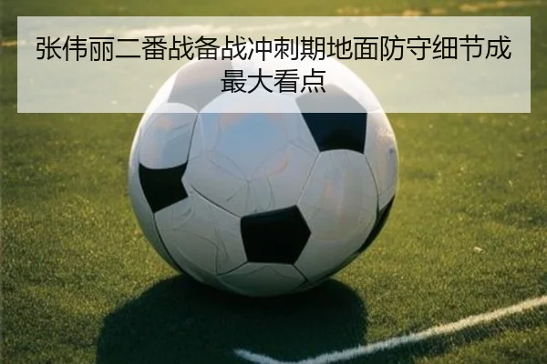 张伟丽二番战备战冲刺期地面防守细节成最大看点